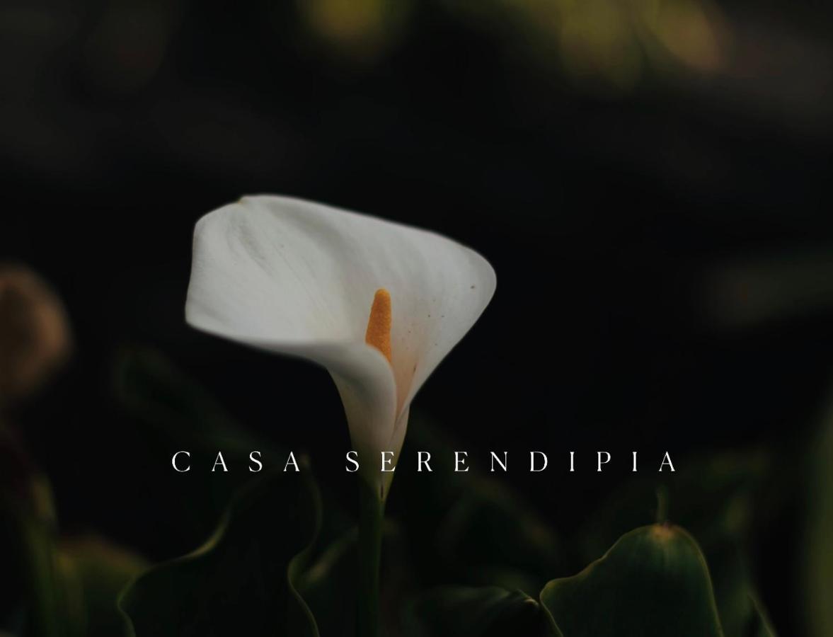 Casa Serendipia La Asomada  Luaran gambar
